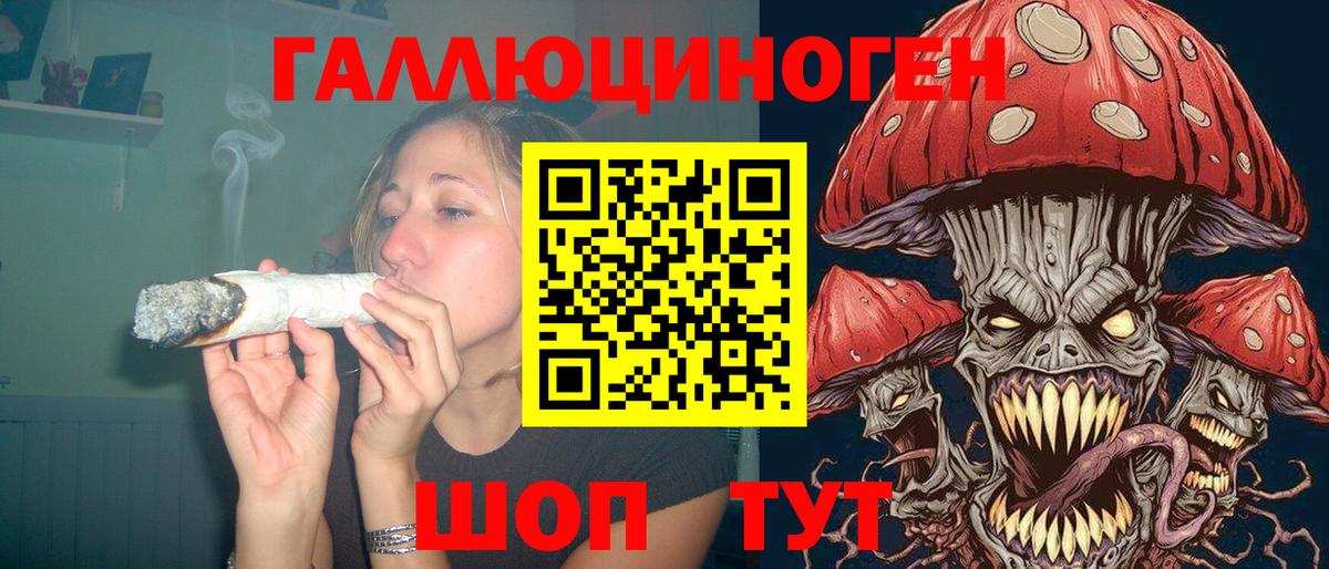 Псилоцибиновые грибы прущие грибы Белгород